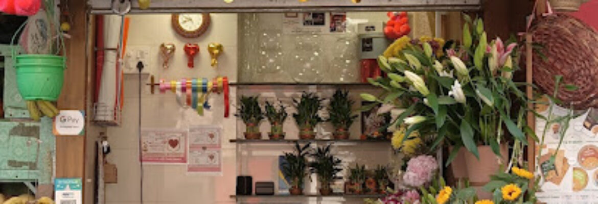 Kailash florist